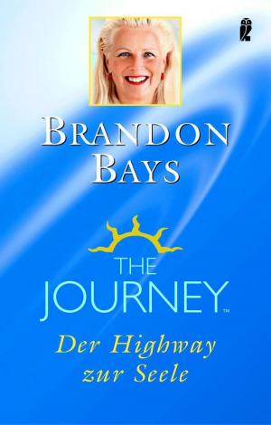 bigCover of the book The Journey by 