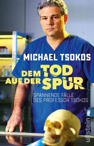 Cover of the book Dem Tod auf der Spur by Stefan Ahnhem