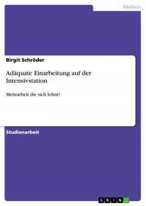 Cover of the book Adäquate Einarbeitung auf der Intensivstation by Björn Heigel