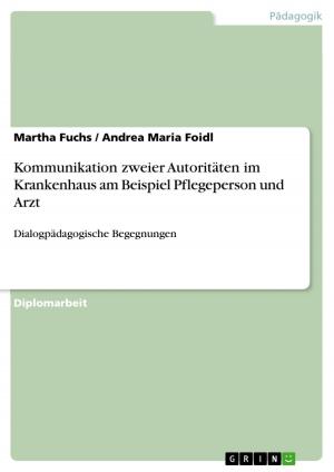 Cover of the book Kommunikation zweier Autoritäten im Krankenhaus am Beispiel Pflegeperson und Arzt by Jörg Schlittenhardt