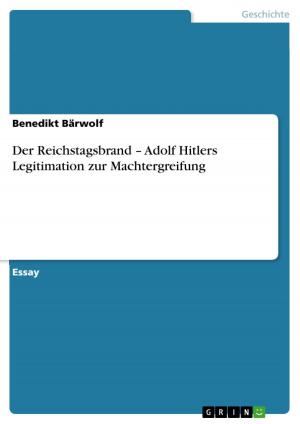 Cover of the book Der Reichstagsbrand - Adolf Hitlers Legitimation zur Machtergreifung by Jürgen Johannes Platz