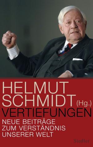Cover of the book Vertiefungen by Helga Hirsch