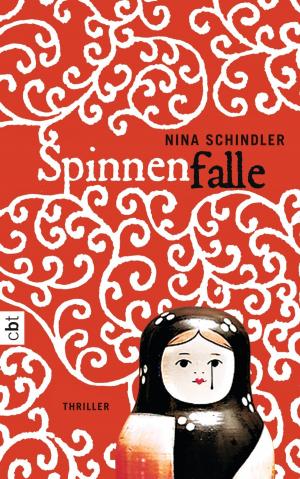 Cover of the book Spinnenfalle by Garth R. Nix, Sean Williams