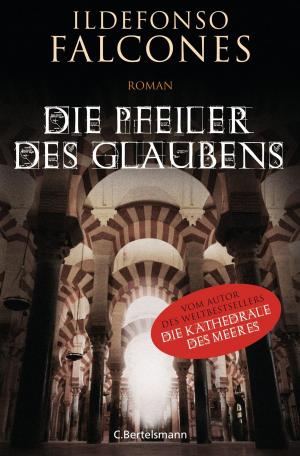 Cover of the book Die Pfeiler des Glaubens by Jodi Picoult