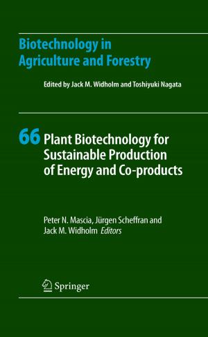 Cover of the book Plant Biotechnology for Sustainable Production of Energy and Co-products by Jens Nävy, Matthias Schröter
