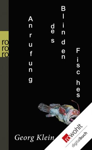 Cover of the book Anrufung des Blinden Fisches by Robert Fabbri