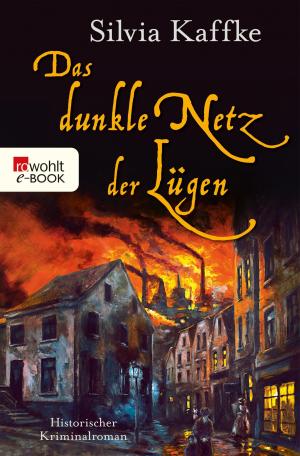 Book cover of Das dunkle Netz der Lügen