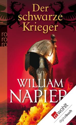 Cover of the book Der schwarze Krieger by Wolfgang Kraushaar