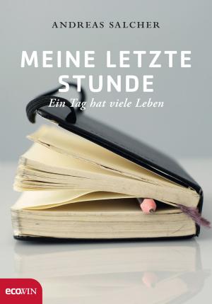 Cover of the book Meine letzte Stunde by Markus Hengstschläger