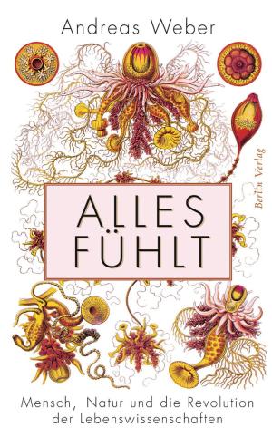 Cover of the book Alles fühlt by Karl Olsberg
