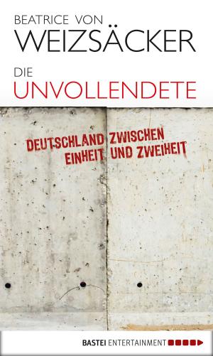 Cover of the book Die Unvollendete by Amelie Sander