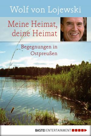 Cover of the book Meine Heimat, deine Heimat by Jason Dark