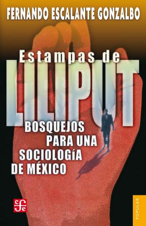 Cover of the book Estampas de Liliput by Shahen Hacyan