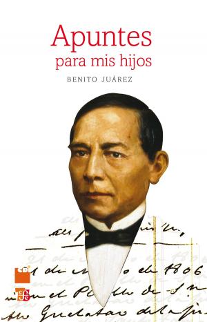 Cover of the book Apuntes para mis hijos by José Luis Martínez