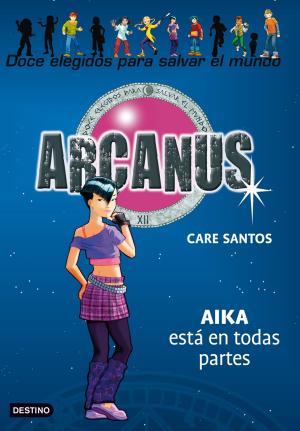 Cover of the book Aika está por todas partes by Care Santos