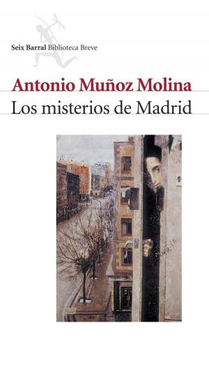 Cover of the book Los misterios de Madrid by Corín Tellado