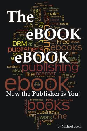 Cover of the book The Ebook Ebook by Josh Karaczewski