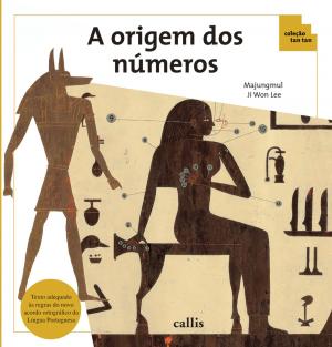 Cover of the book A origem dos números by Nadine Trzmielina