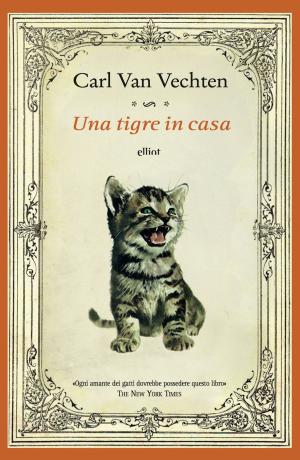 Book cover of Una tigre in casa