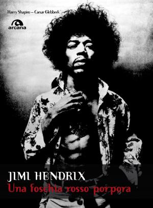 Cover of the book Jimi Hendrix by Adam Gallardo