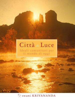 Book cover of Città di Luce