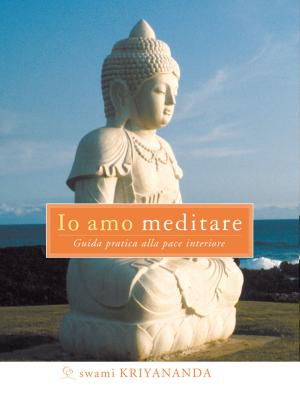 Book cover of Io amo meditare