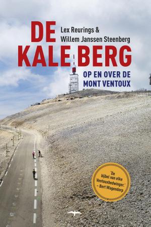Cover of the book De kale berg by Tommy Wieringa