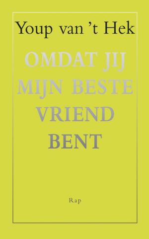 Cover of the book Omdat jij mijn beste vriend bent by Cees Nooteboom