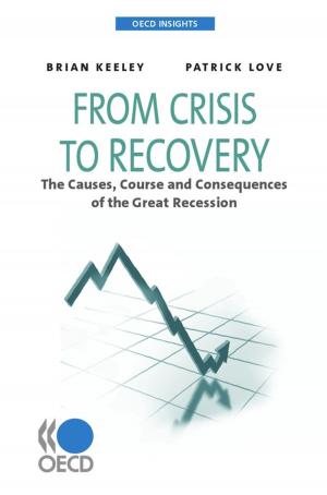 Book cover of From Crisis to Recovery