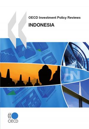 Cover of the book OECD Investment Policy Reviews: Indonesia 2010 by Collective