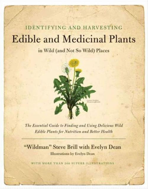 Cover of the book Identifying & Harvesting Edible and Medicinal Plants by Steve Brill, Evelyn Dean, William Morrow Paperbacks