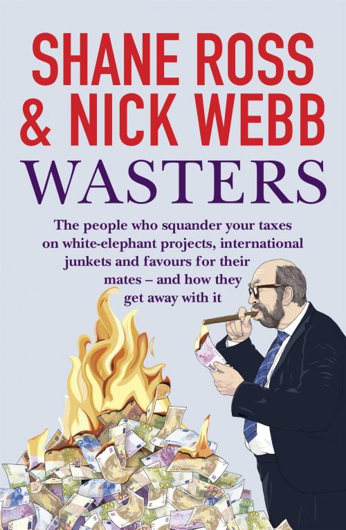 Cover of the book Wasters by Shane Ross, Nick Webb, Penguin Books Ltd