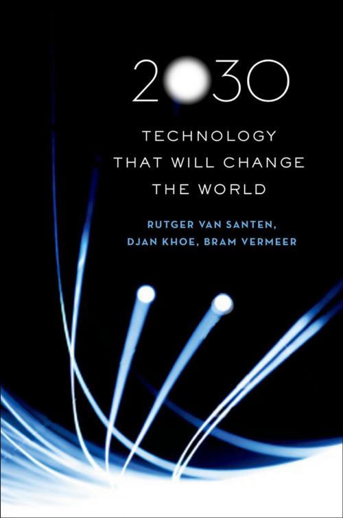 Cover of the book 2030 by Rutger van Santen, Djan Khoe, Bram Vermeer, Oxford University Press