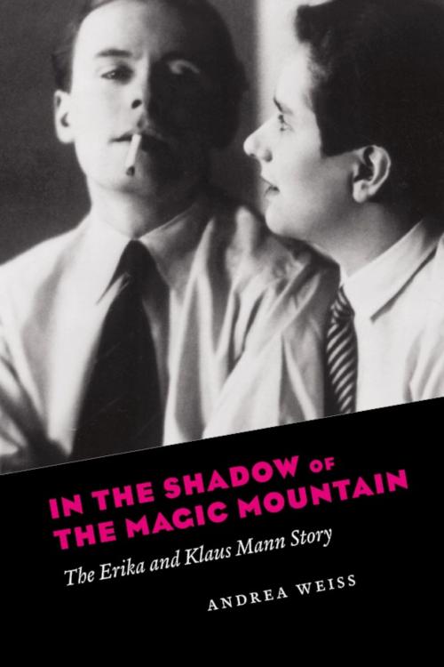 Cover of the book In the Shadow of the Magic Mountain by Andrea Weiss, University of Chicago Press