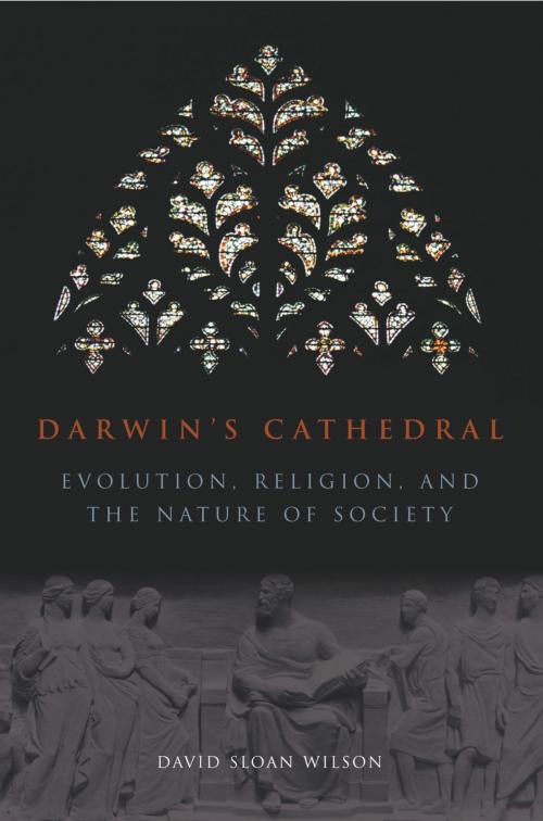 Cover of the book Darwin's Cathedral by David Wilson, University of Chicago Press