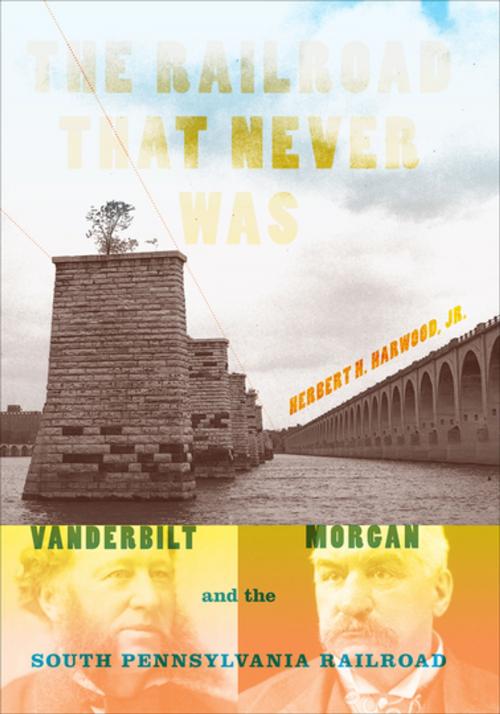 Cover of the book The Railroad That Never Was by Herbert H. Harwood Jr., Indiana University Press