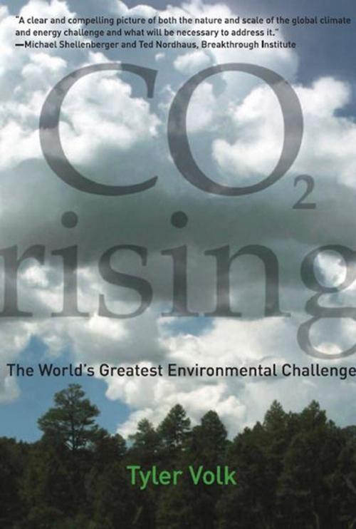 Cover of the book CO2 Rising by Tyler Volk, The MIT Press
