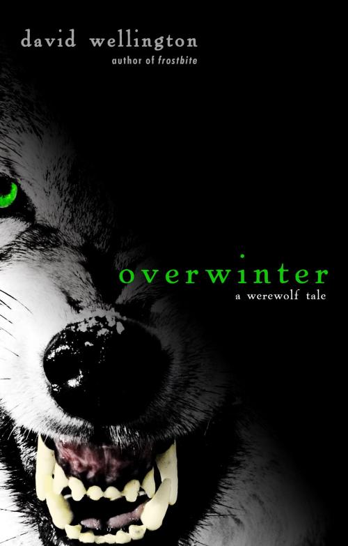 Cover of the book Overwinter by David Wellington, Crown/Archetype