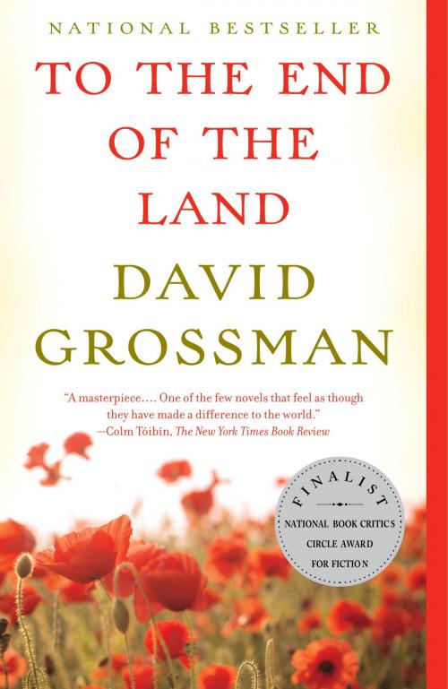 Cover of the book To the End of the Land by David Grossman, Knopf Doubleday Publishing Group