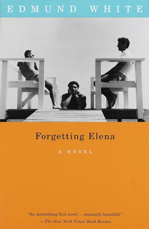 Cover of the book Forgetting Elena by Edmund White, Knopf Doubleday Publishing Group