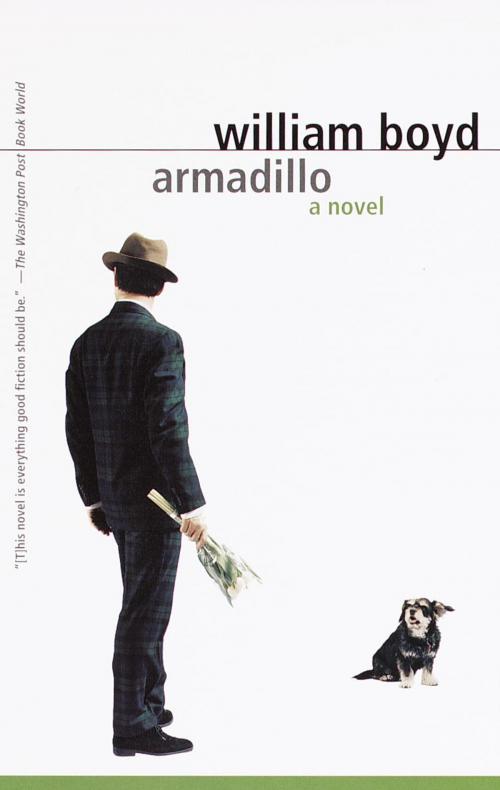 Cover of the book Armadillo by William Boyd, Knopf Doubleday Publishing Group