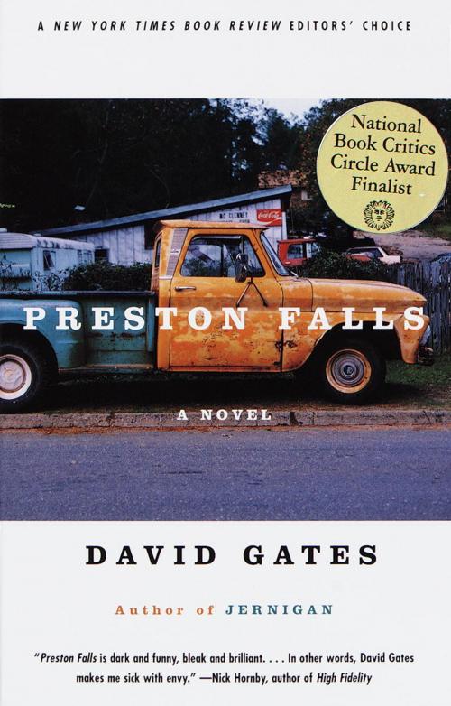 Cover of the book Preston Falls by David Gates, Knopf Doubleday Publishing Group