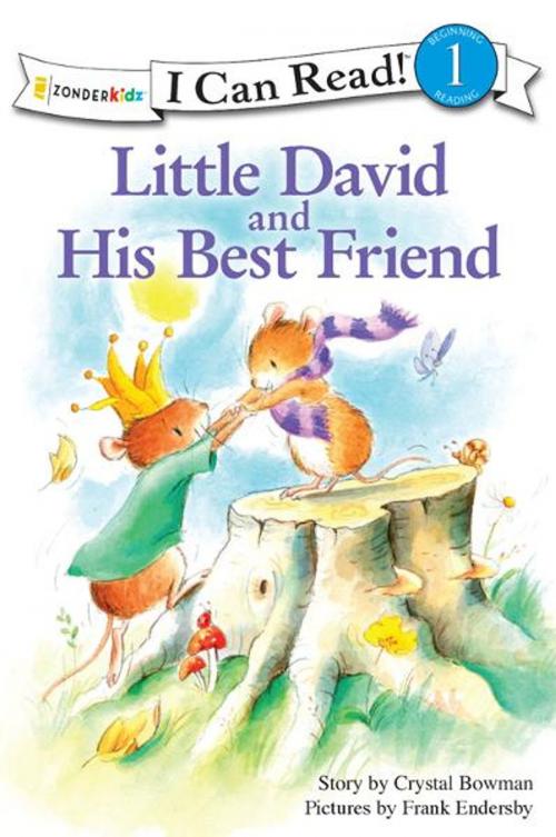Cover of the book Little David and His Best Friend by Crystal Bowman, Zonderkidz