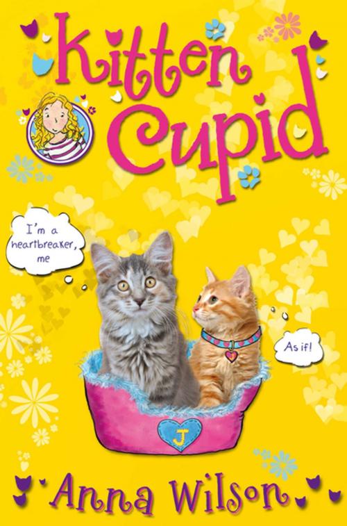 Cover of the book Kitten Cupid by Anna Wilson, Pan Macmillan
