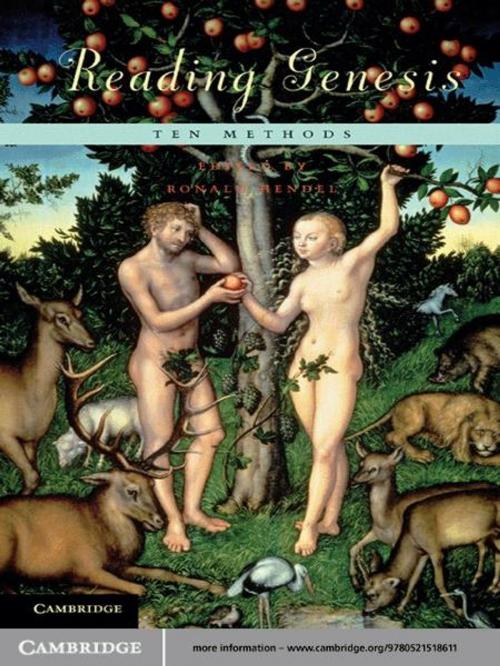 Cover of the book Reading Genesis by , Cambridge University Press