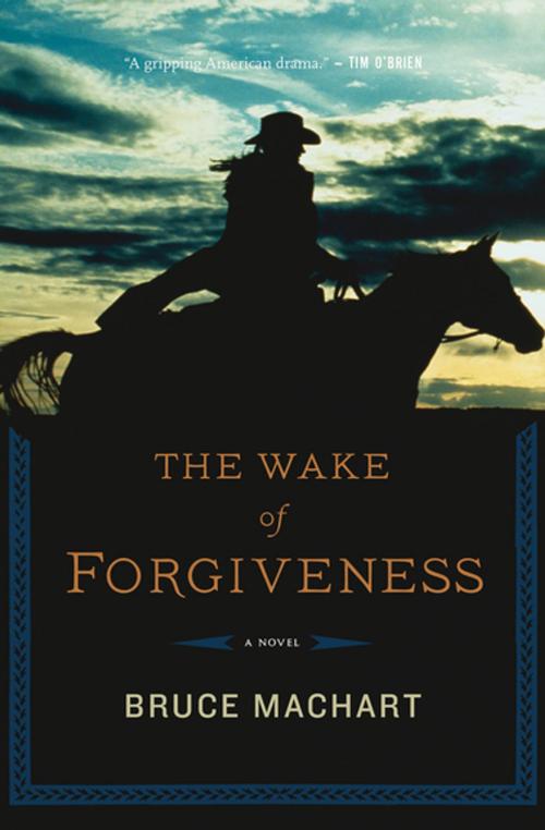 Cover of the book The Wake of Forgiveness by Bruce Machart, Houghton Mifflin Harcourt