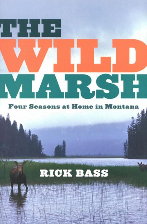 Cover of the book The Wild Marsh by Rick Bass, Houghton Mifflin Harcourt