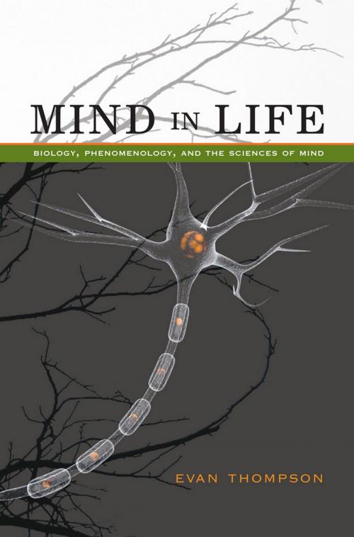 Cover of the book Mind in Life by Evan Thompson, Harvard University Press