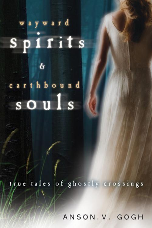 Cover of the book Wayward Spirits & Earthbound Souls by Anson V. Gogh, Llewellyn Worldwide, LTD.
