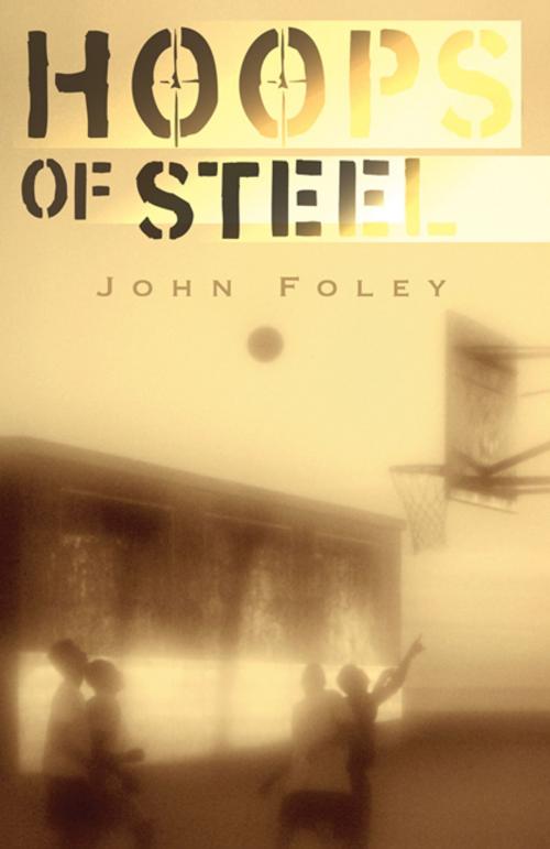 Cover of the book Hoops of Steel by John Foley, North Star Editions